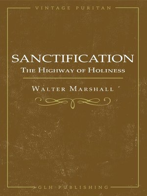 cover image of Sanctification; the Highway of Holiness